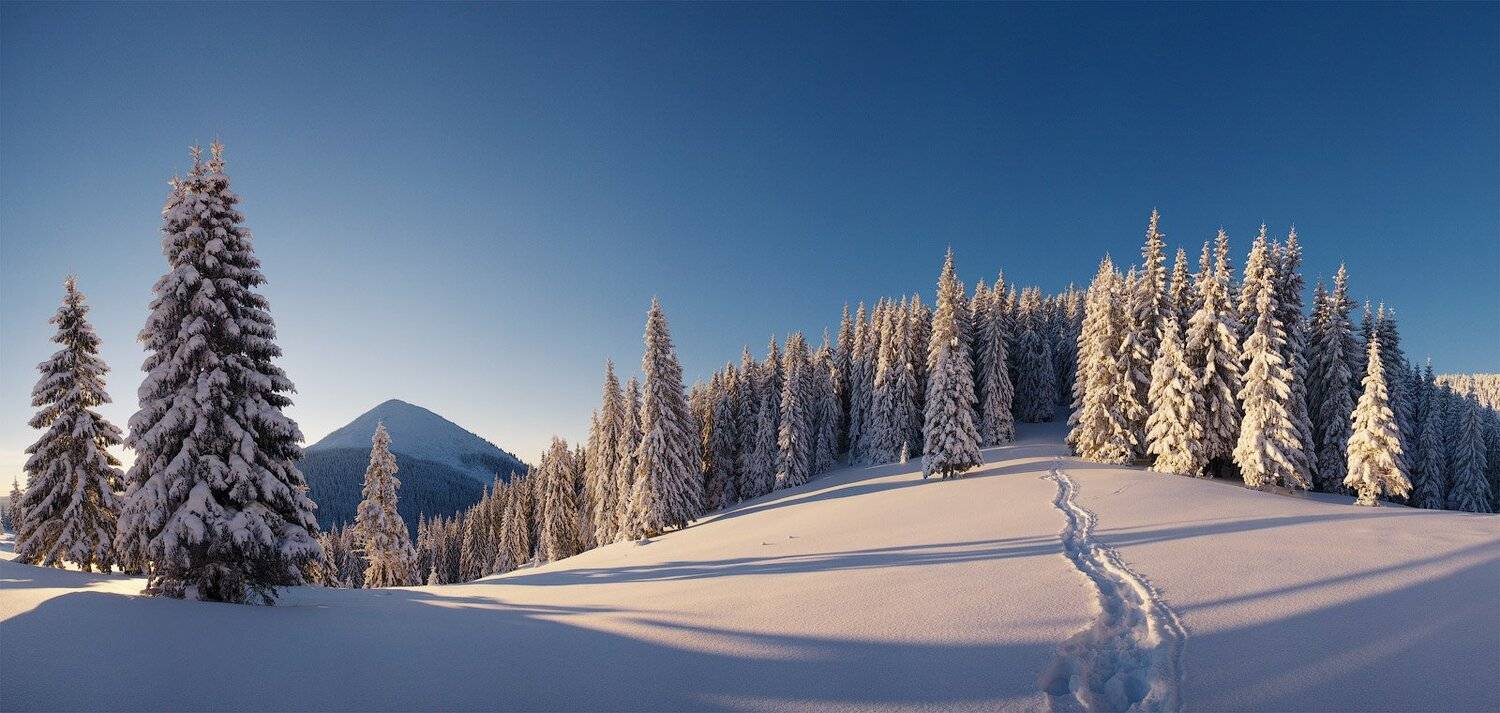 , Андрій Плясун