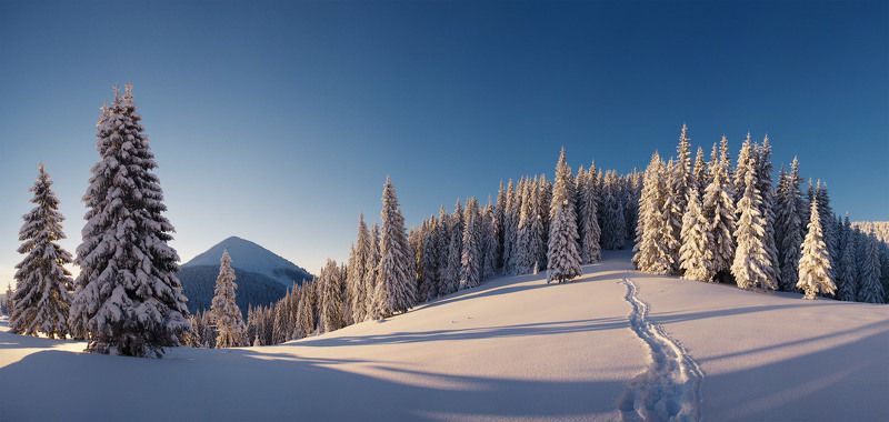 Снегами на г. Сыняк фото превью