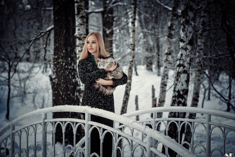 cat, winter, snow, portrait Cat\'s winter фото превью