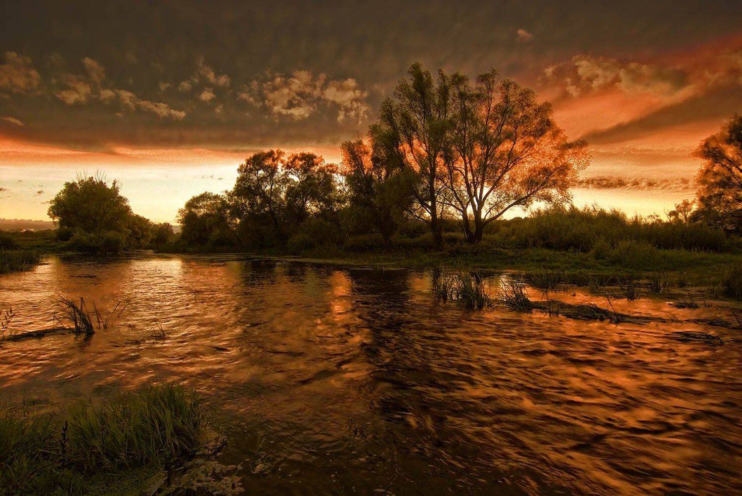 , Александр Титаренко