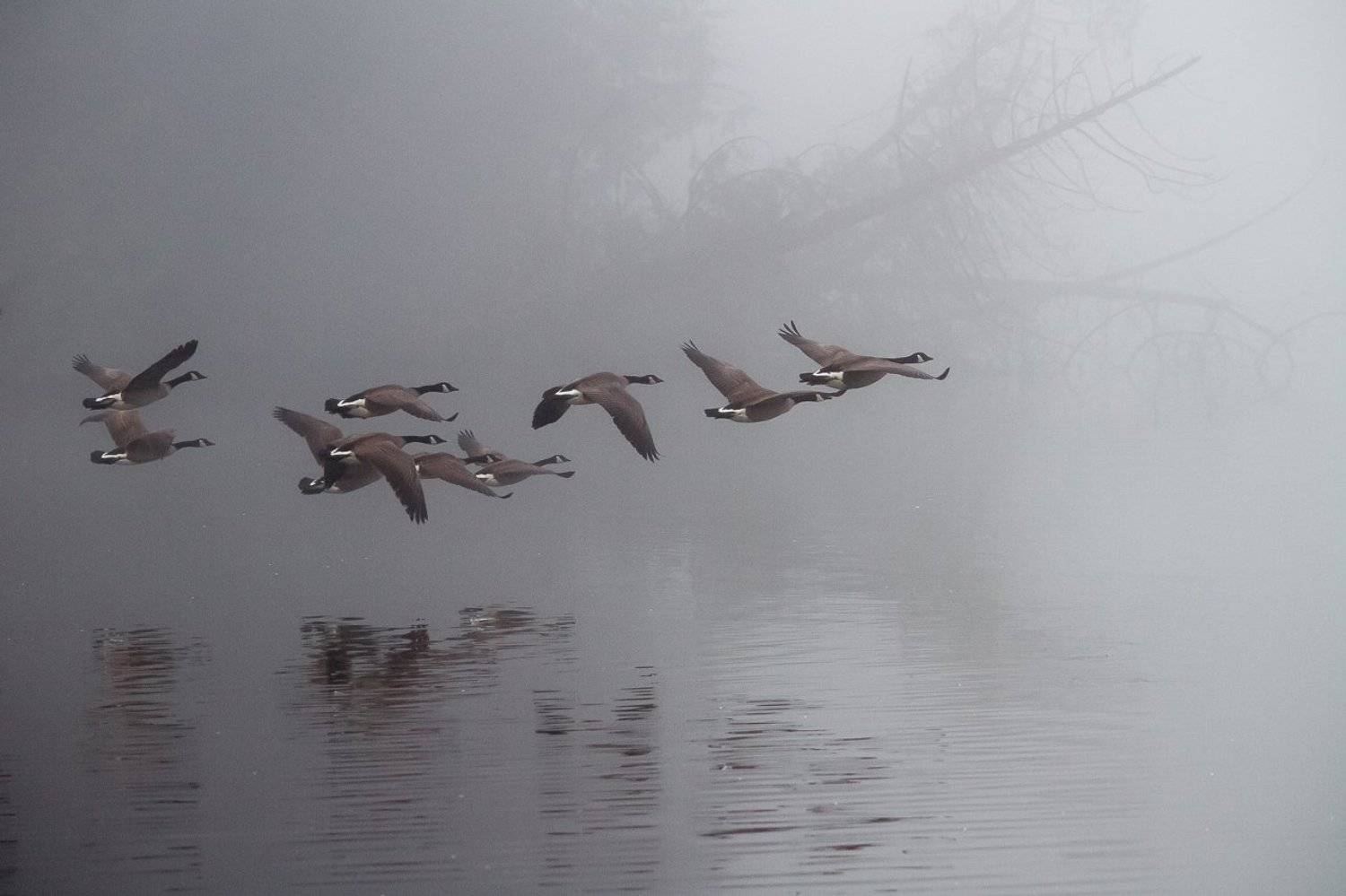 , ГеннадийАлексеич