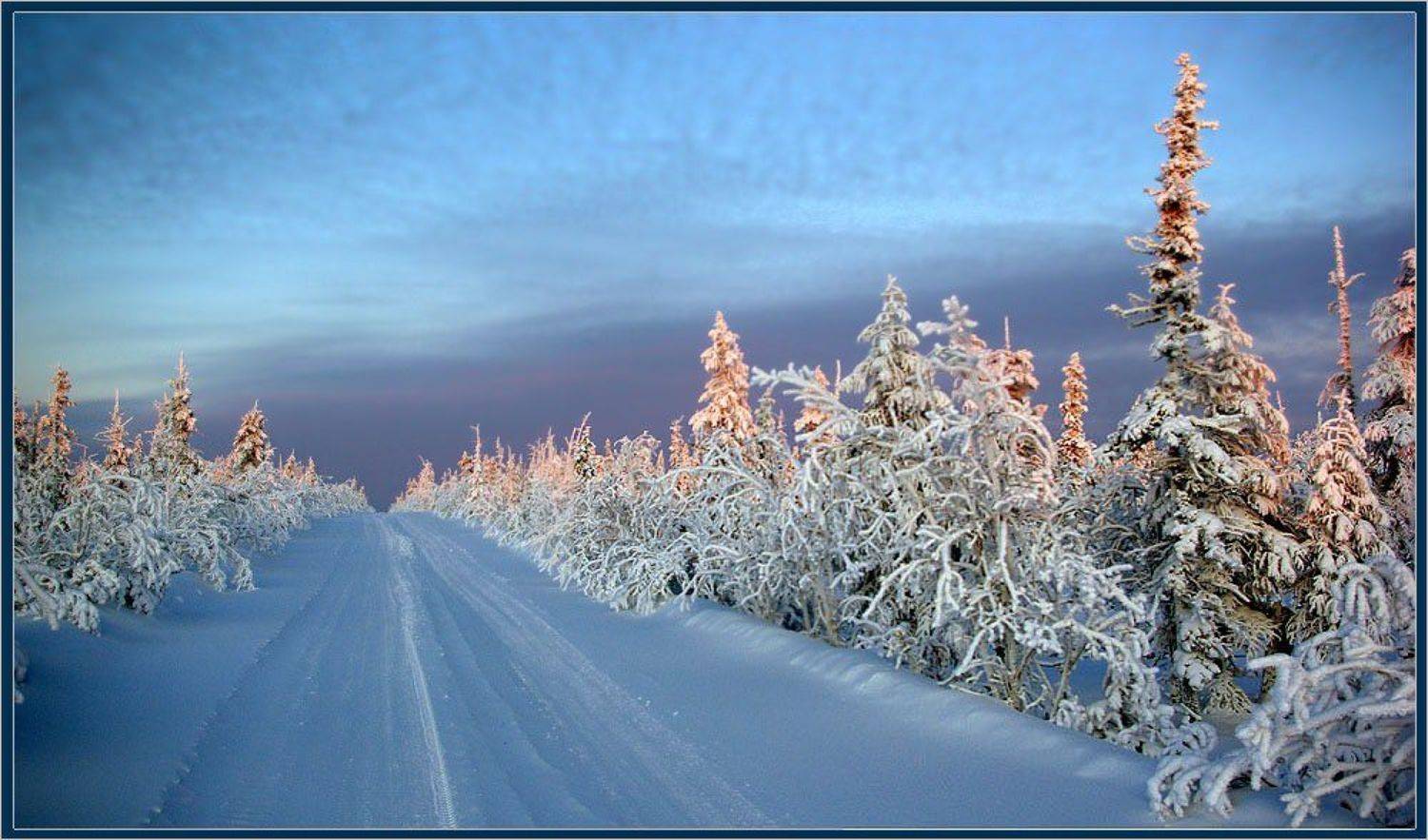 дорога, север, мороз, тайга, зима, Солодухин Виктор