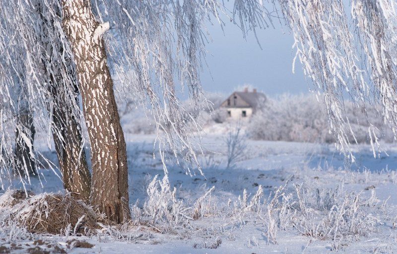 воспоминания... фото превью