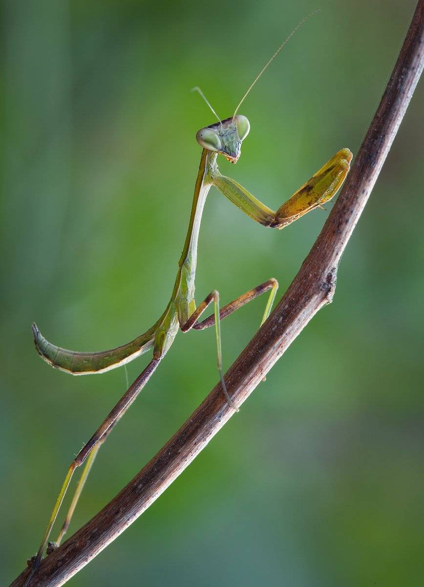 , Андрей Канышев