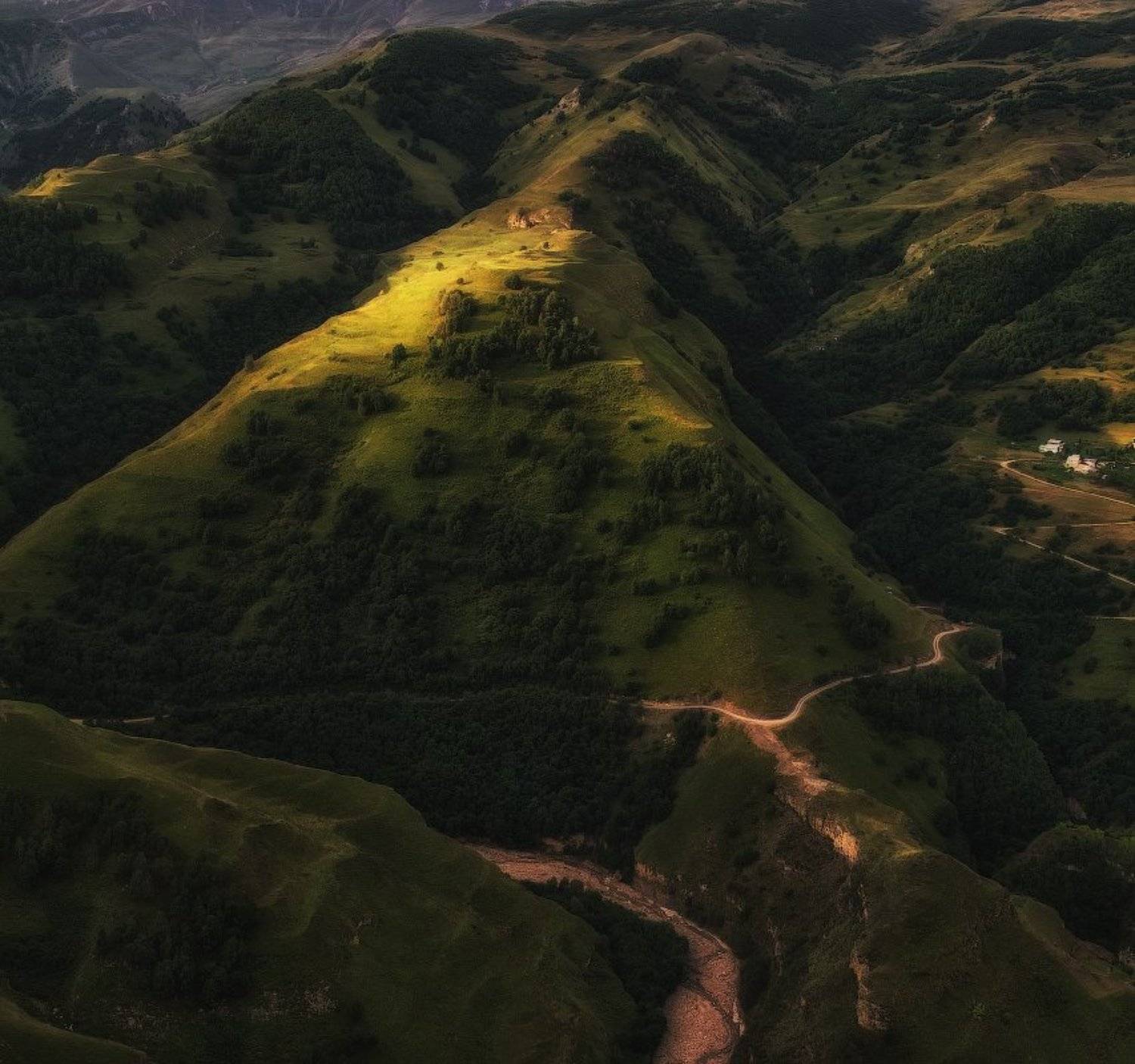 , Гамидов Мурад