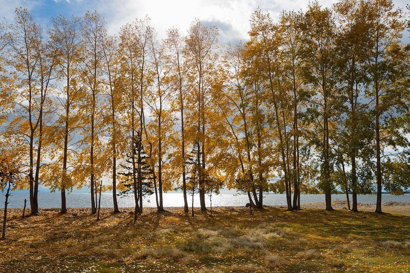байкал Северный Байкал фото превью