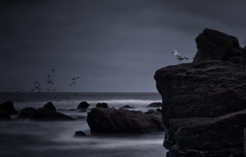 Chkalov beach, Odessa фото превью