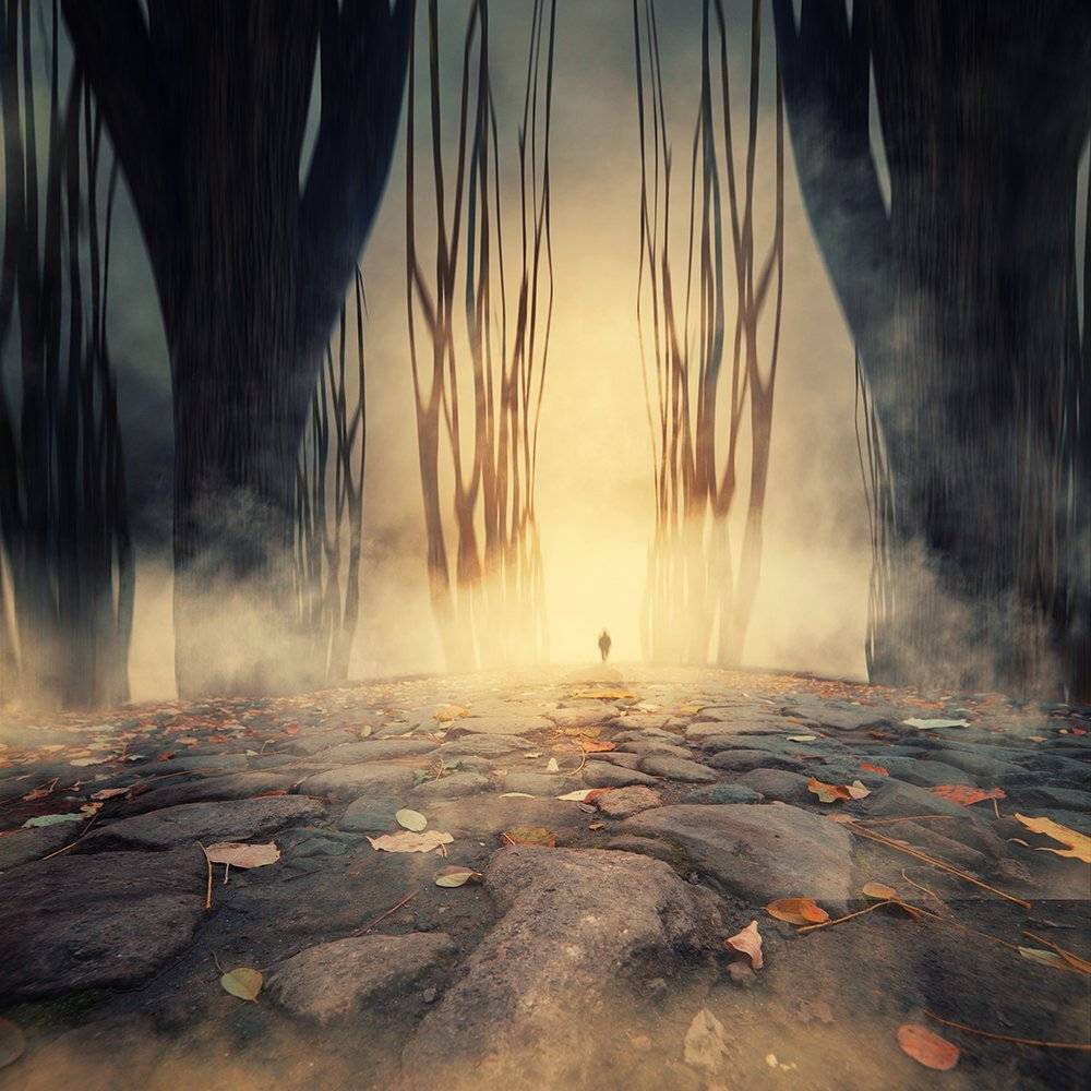 old, tree, leaf, ghost, smoke, stone, walking, manipulation, elf, photoshop, fantasy, blured, psd, tutorials, Caras Ionut