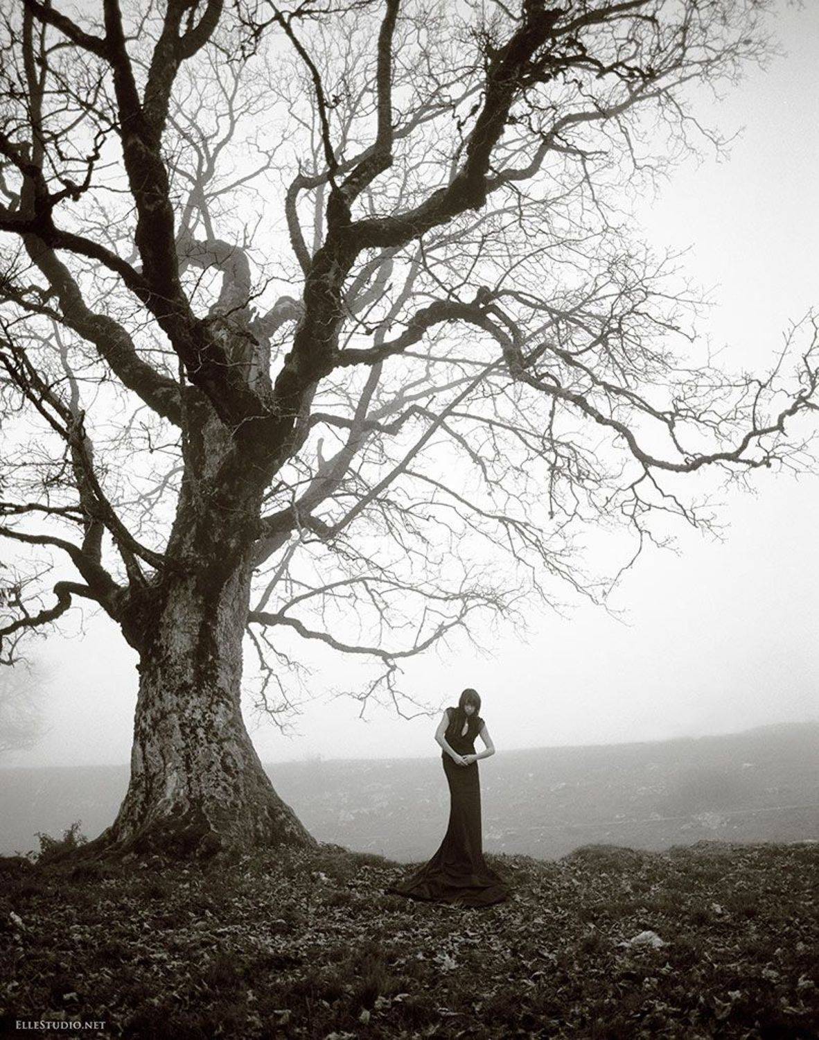 , Fabien Queloz-Ellestudio