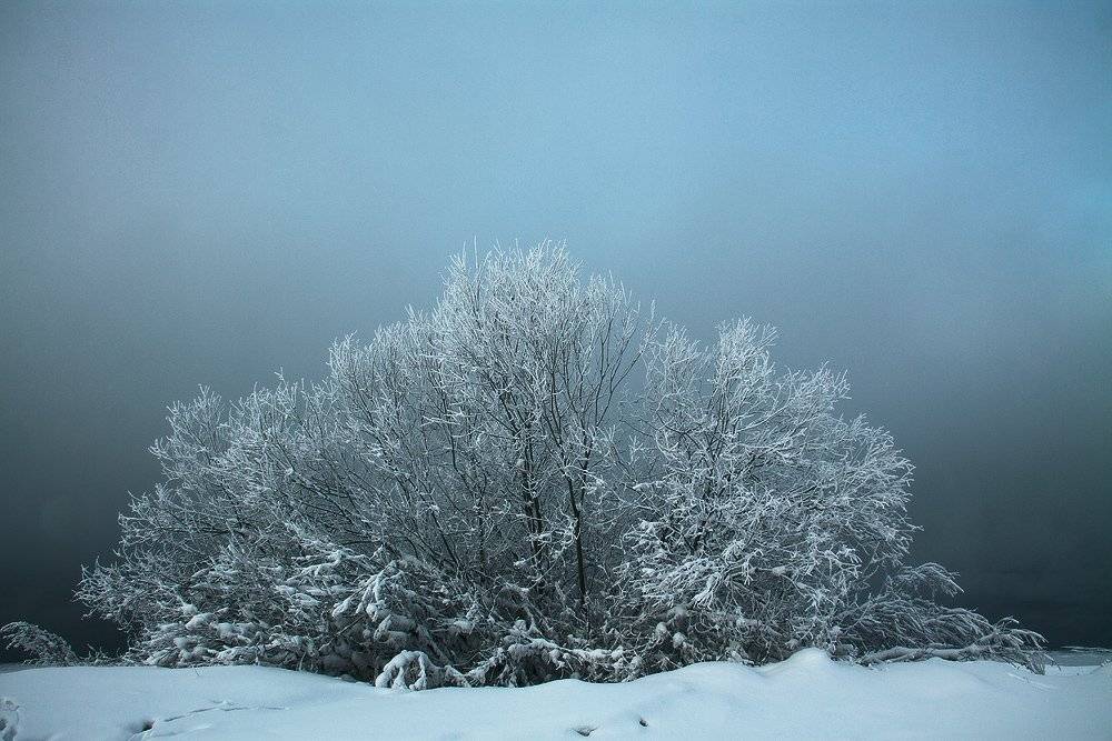 , Николай Морский