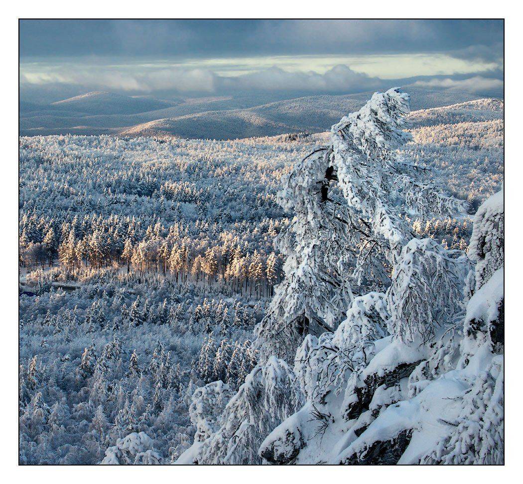 , Владимир Ляпин