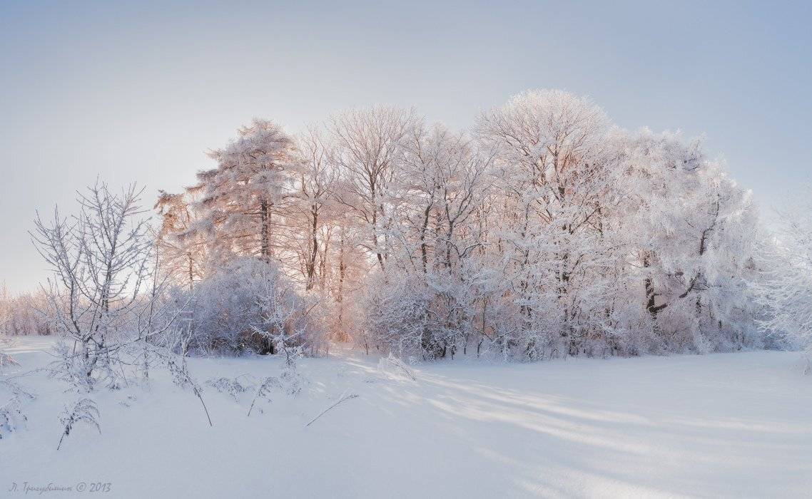 , Любомир Тригубишин