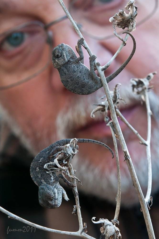 , Игорь ФУММ