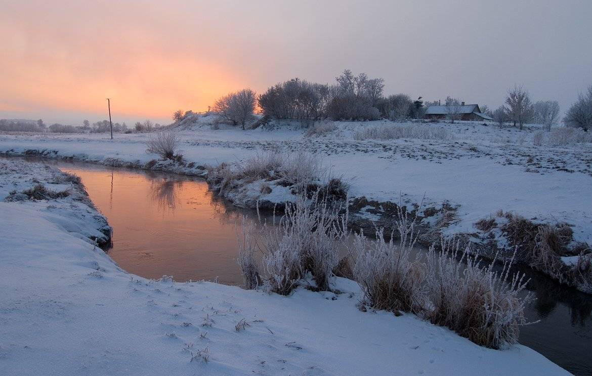 , Николай Шахманцир