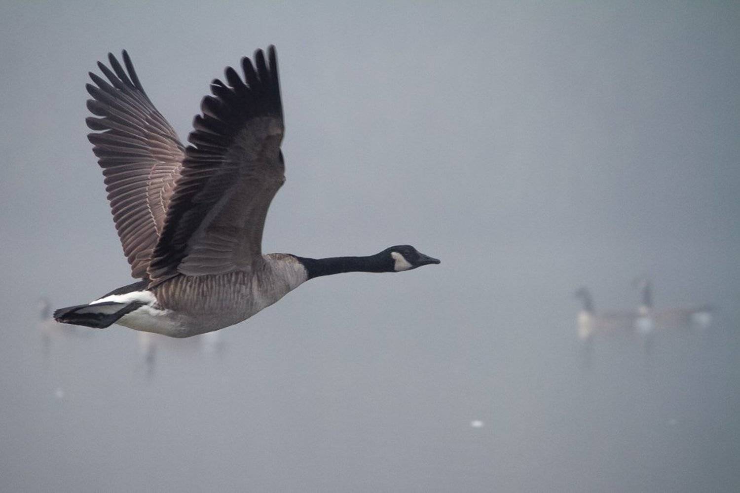 , ГеннадийАлексеич