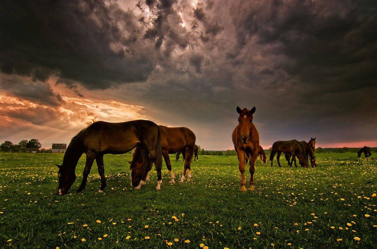 , Александр Титаренко