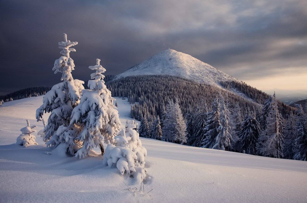 , Андрій Плясун