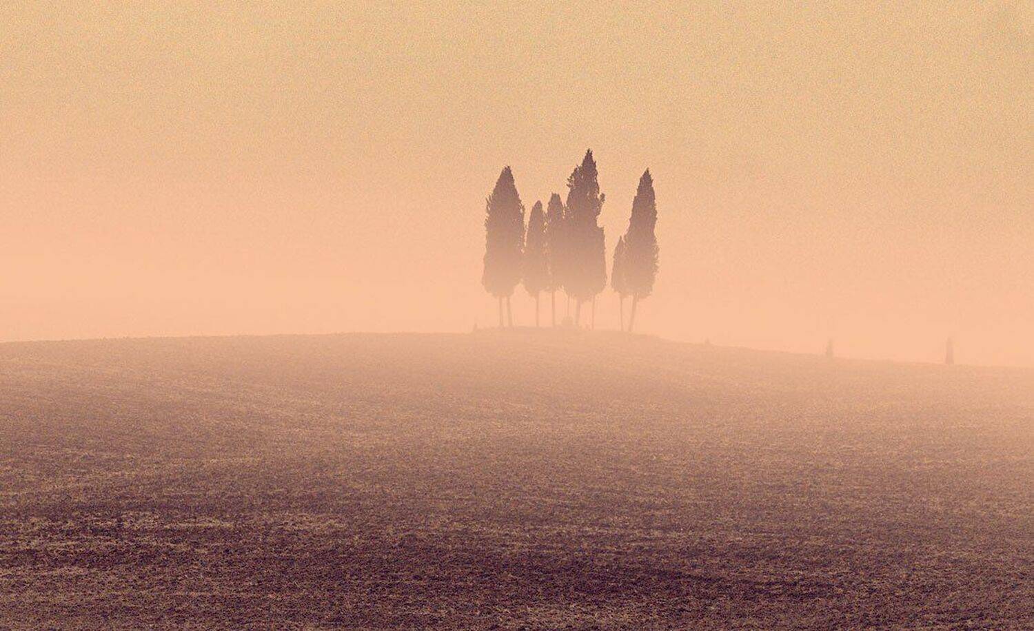 , Юлия Болдинова