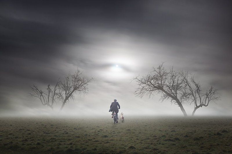 The No Man Land фото превью