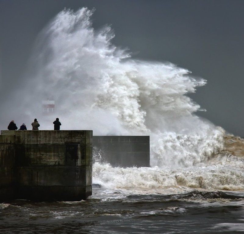 the spectacle of the waves фото превью