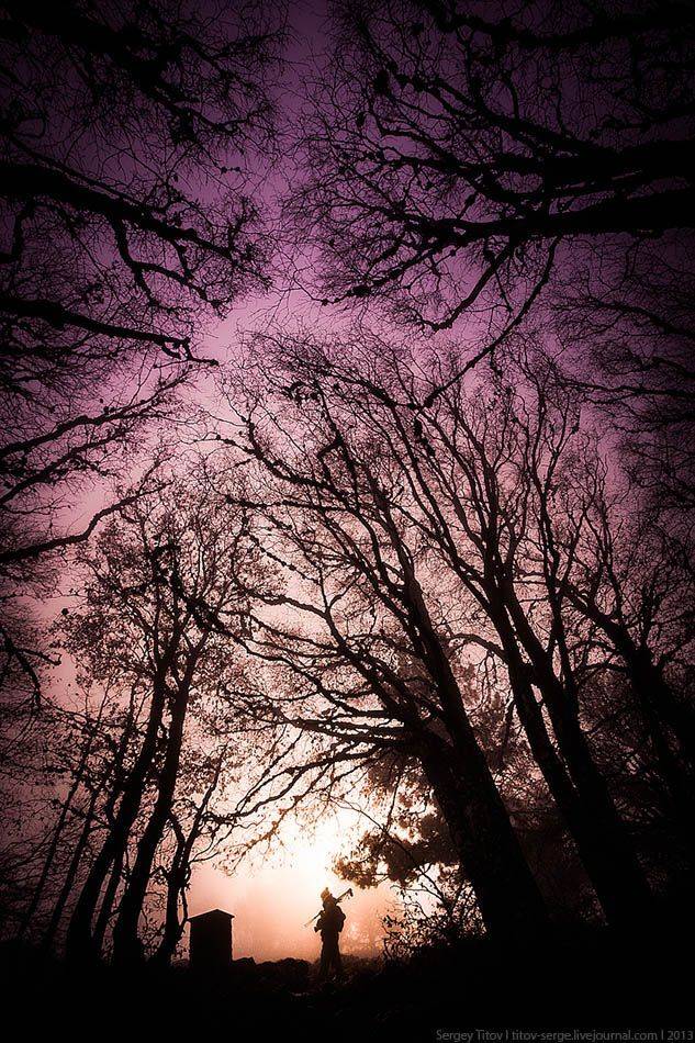 крым, горы, туман, лес, ай-петри, ялта, Serge Titov