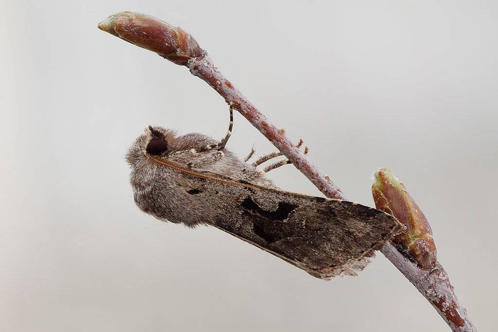 , Сергей Таланов