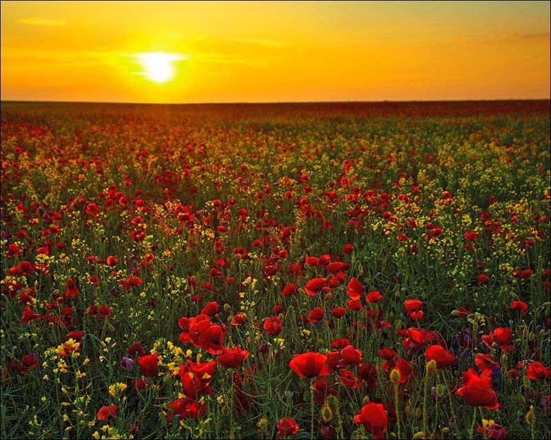 * фото превью