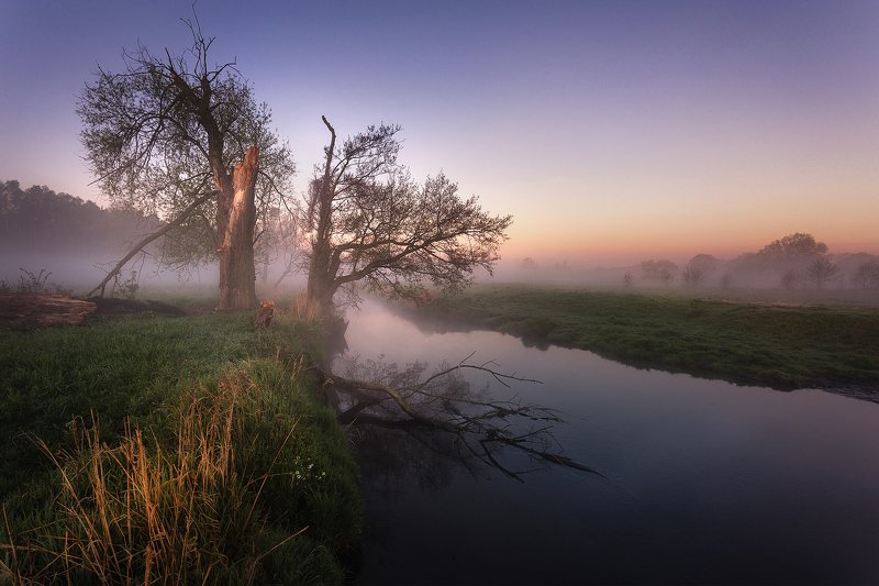 morning фото превью