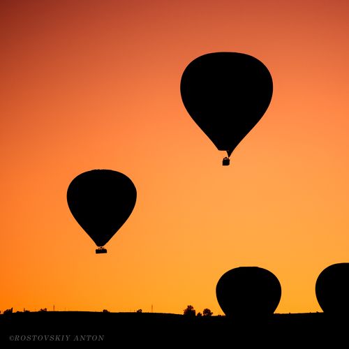 Летающий инжир 