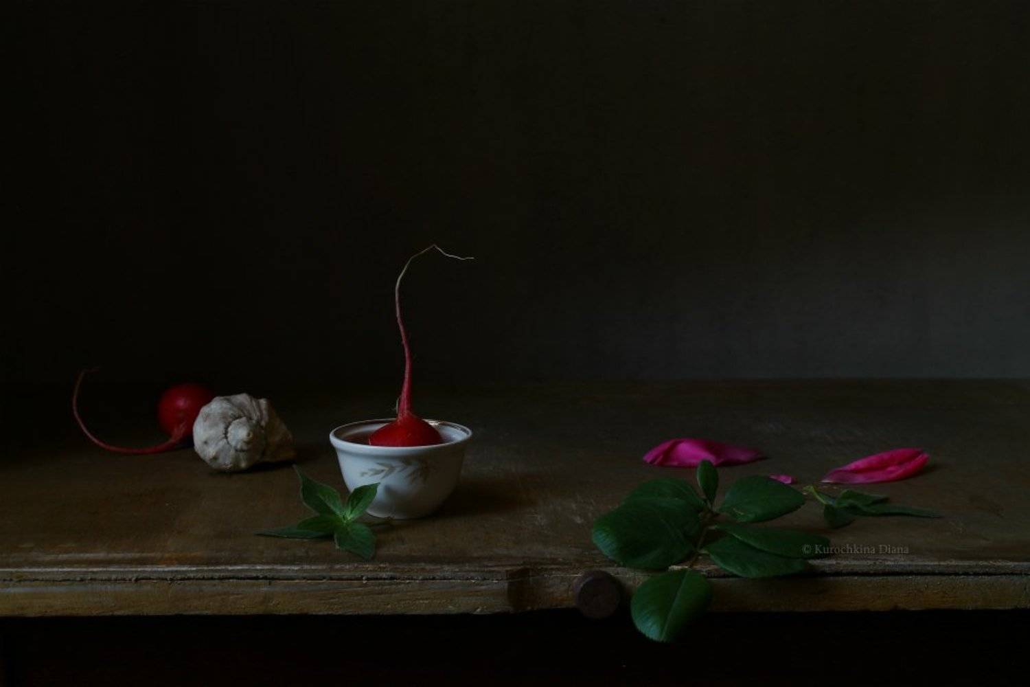 натюрморт, редис, розовый, Курочкина Диана