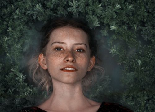 Soul of forest