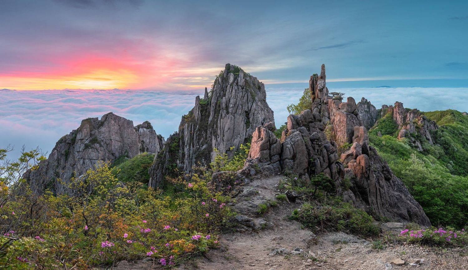 mountains,peak,hiking,fog,clouds,spring,light,korea,panorama, Jaeyoun Ryu