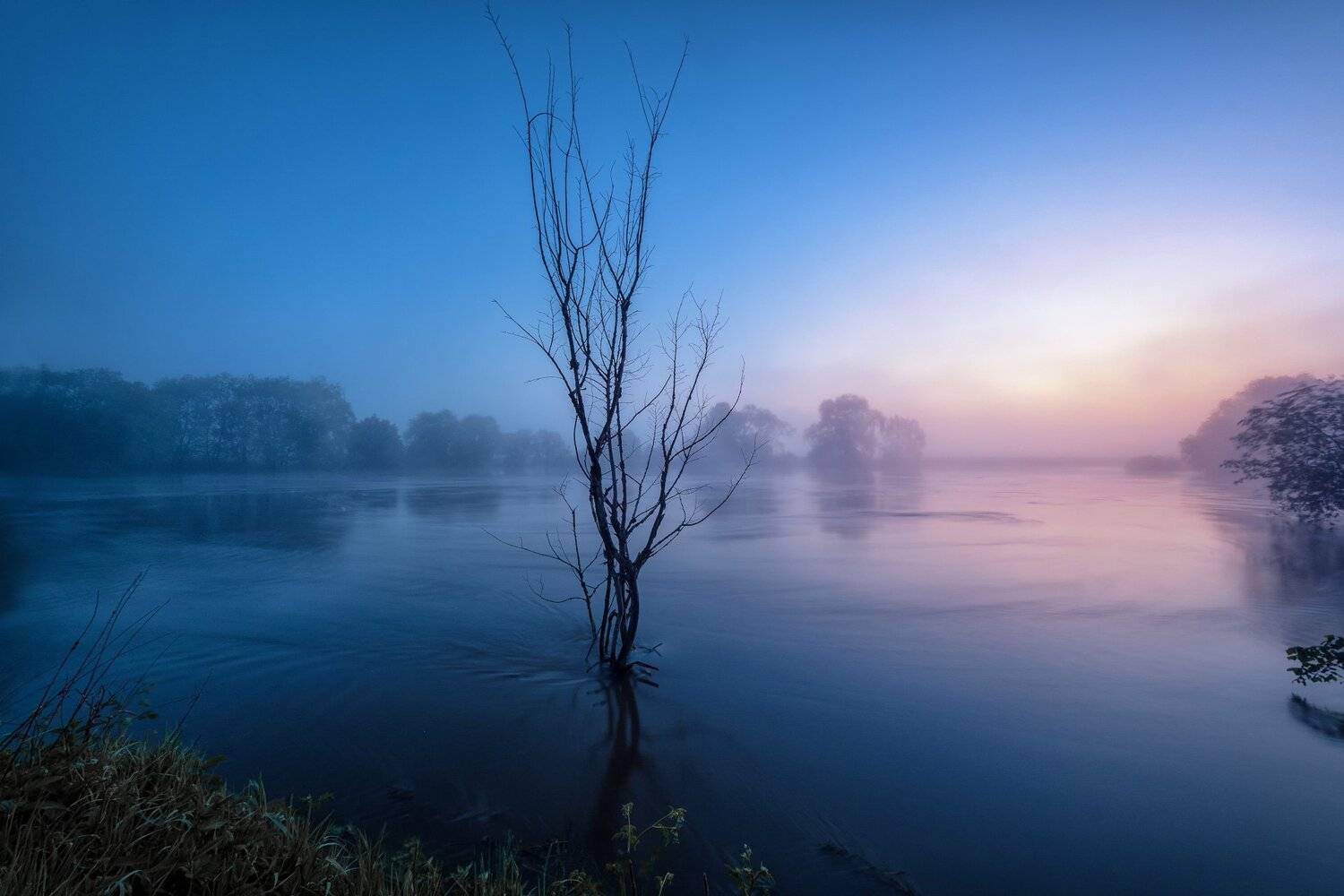 протва, река, наводнение, утро, рассвет, туман, дерево, силуэт, Андрей Чиж