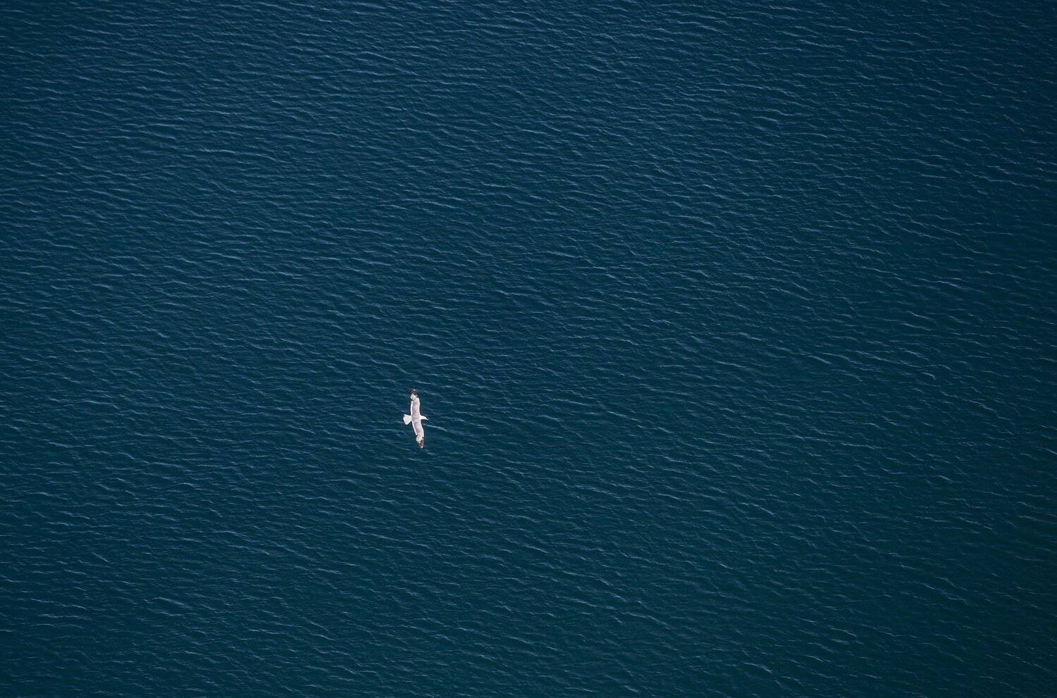 , Бахтин Вячеслав