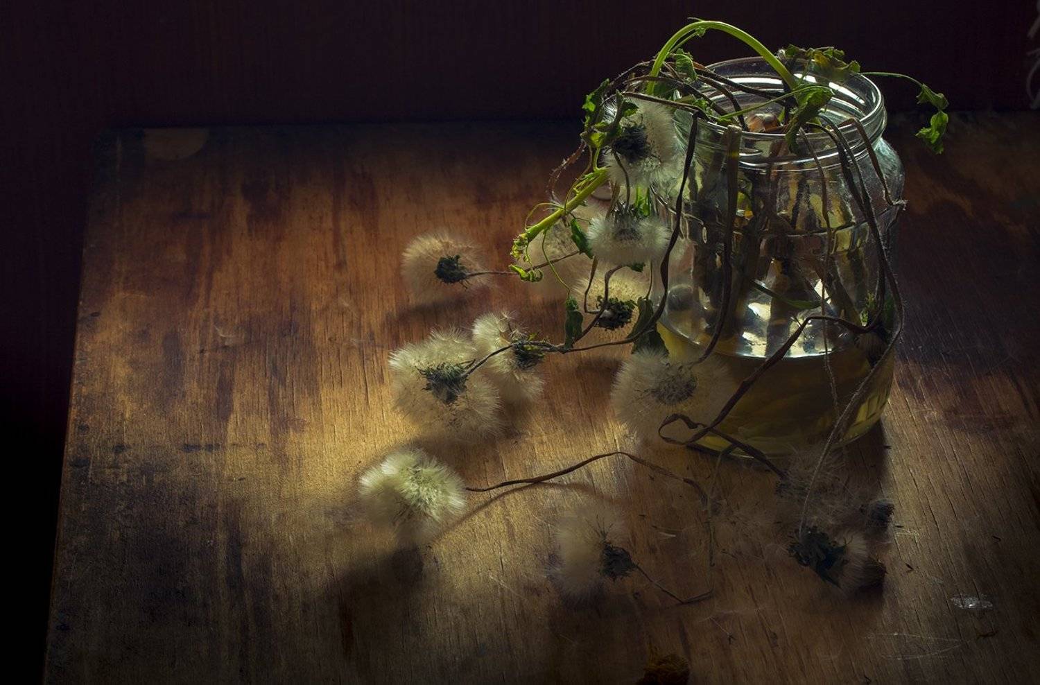 натюрморт,одуванчики, Елена Рубинская