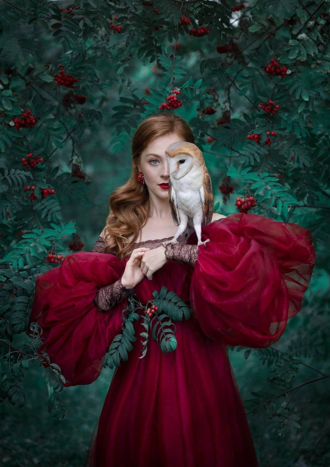артфото, фотографмосква, рябина, художественнаяфотография, сова, сипуха, съемкасживотными, Evgeniya Fedorova