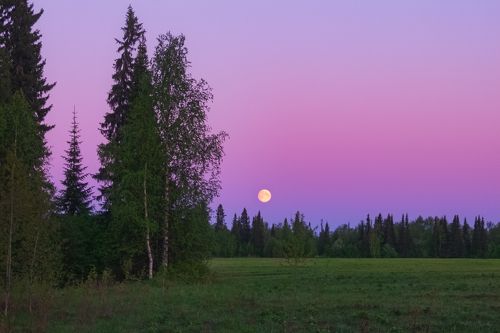 Белые ночи севера