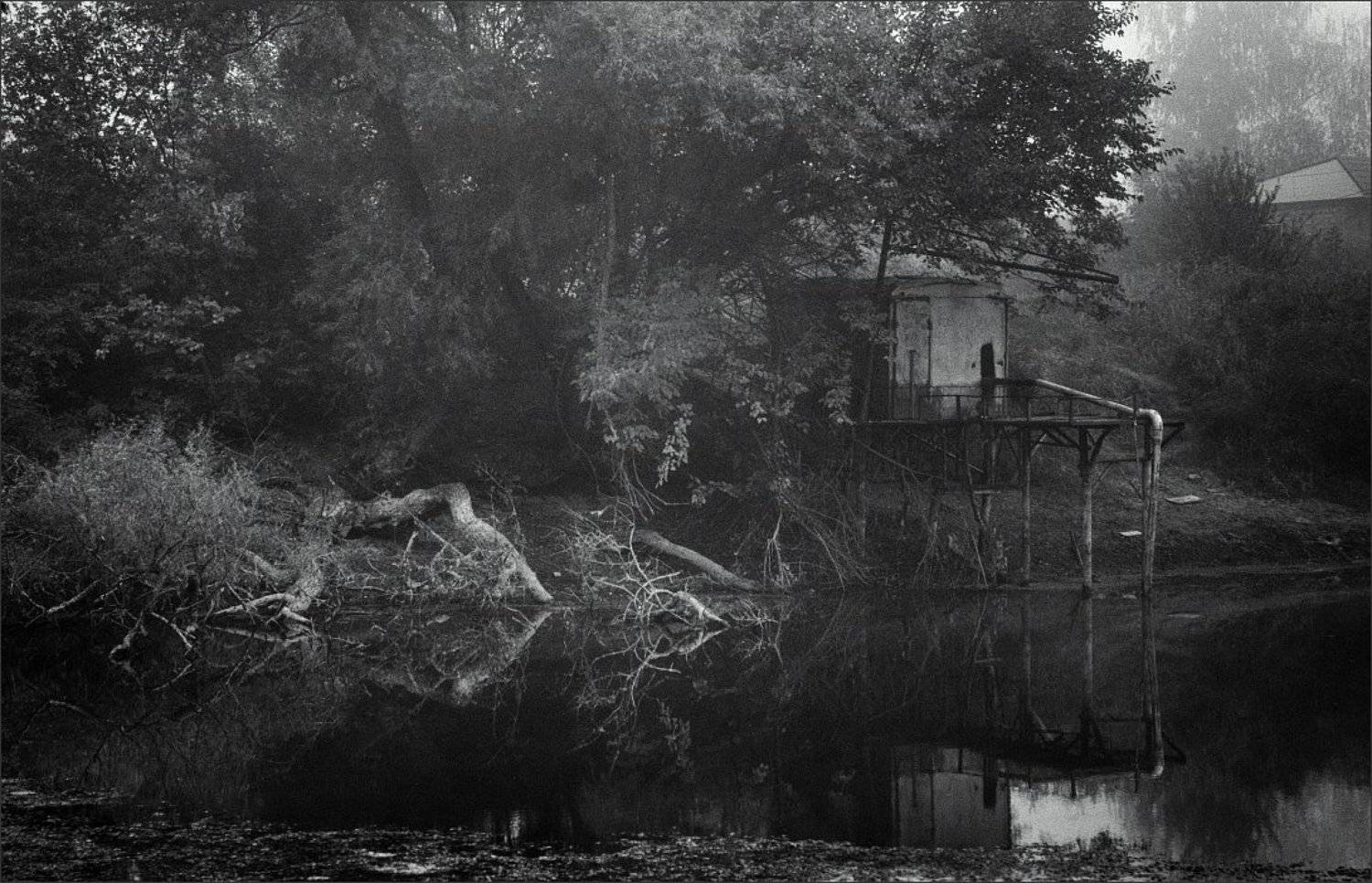 , Сергей Фудиненко