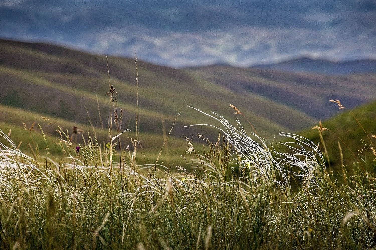 южный урал,оренбургская область, орск, новотроицк,, Качурин Алексей