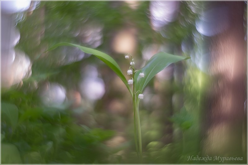 Балерина фото превью