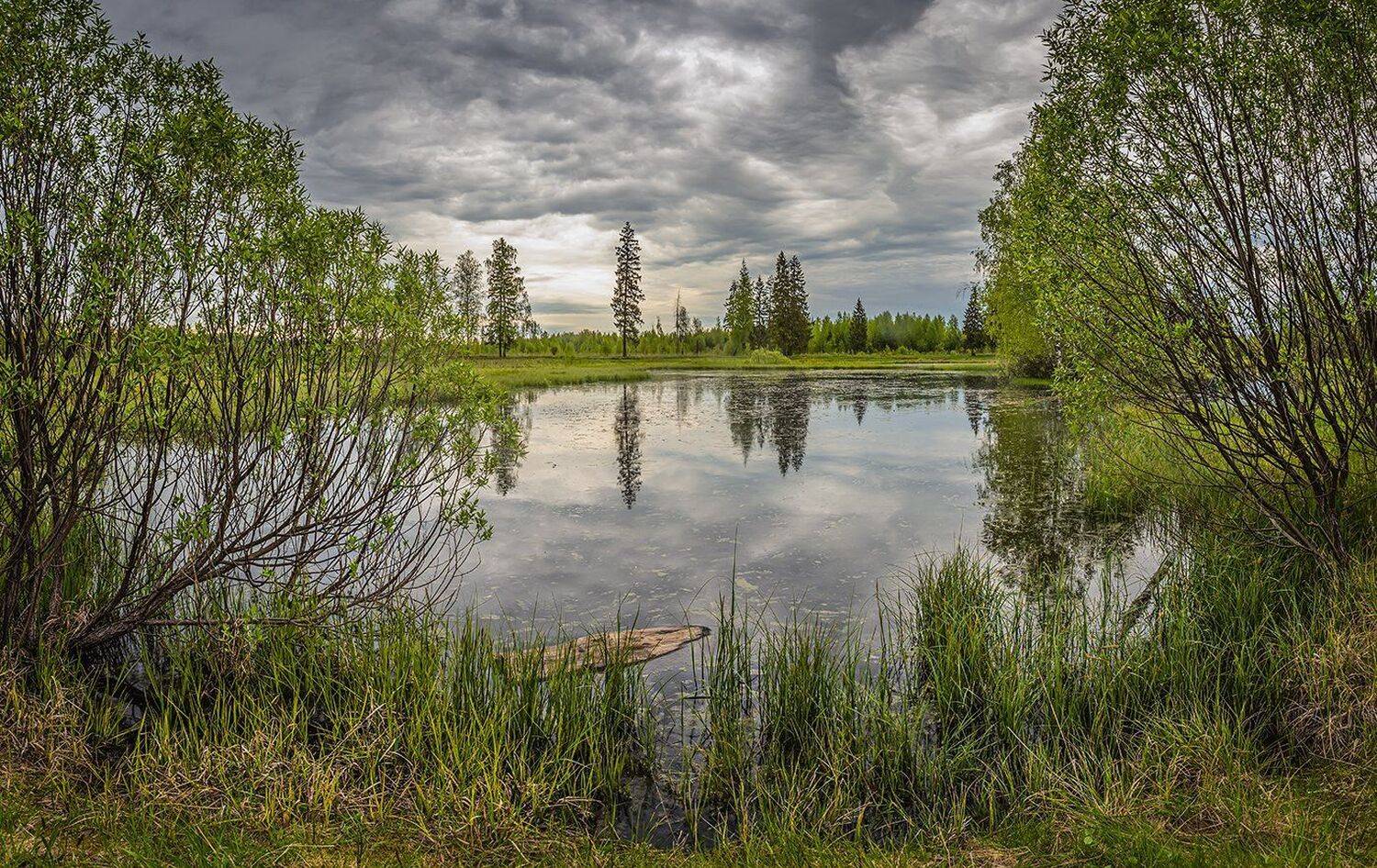 , Николай Андреев