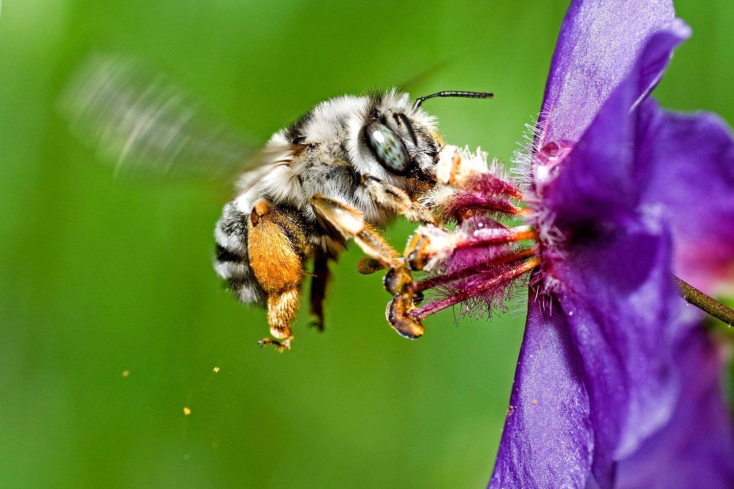 южный урал,оренбургская область, орск, новотроицк,, Качурин Алексей