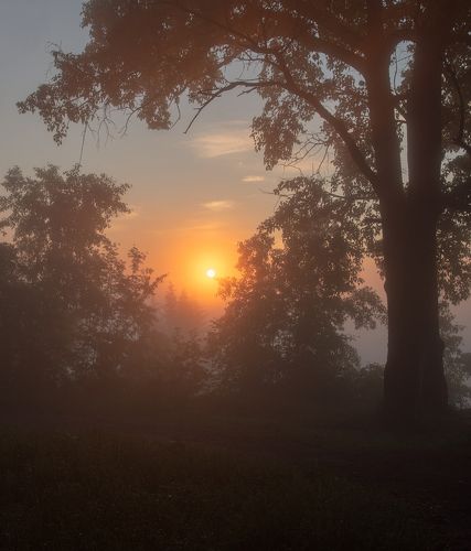 Магия Вятского рассвета.