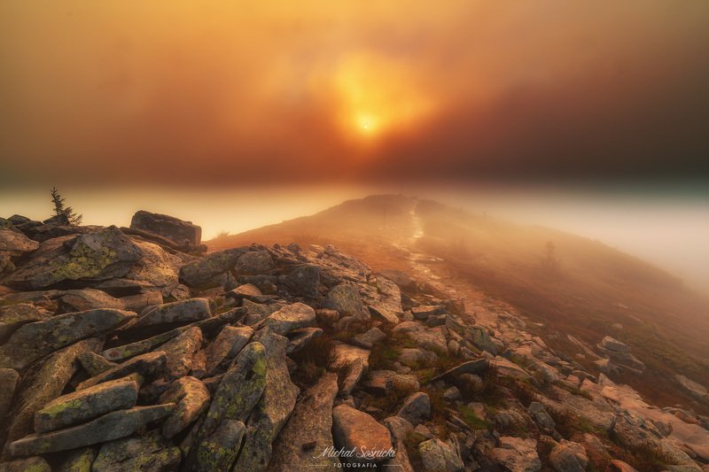 Magic moment... фото превью