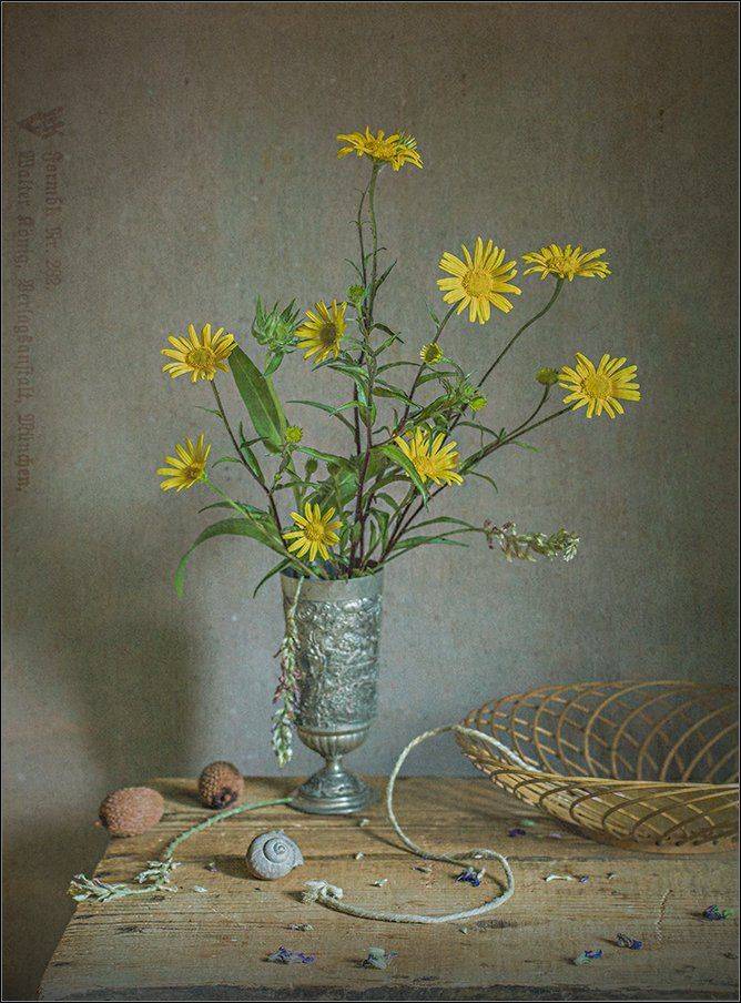 ***. Автор: Stein Georg , Stein Georg