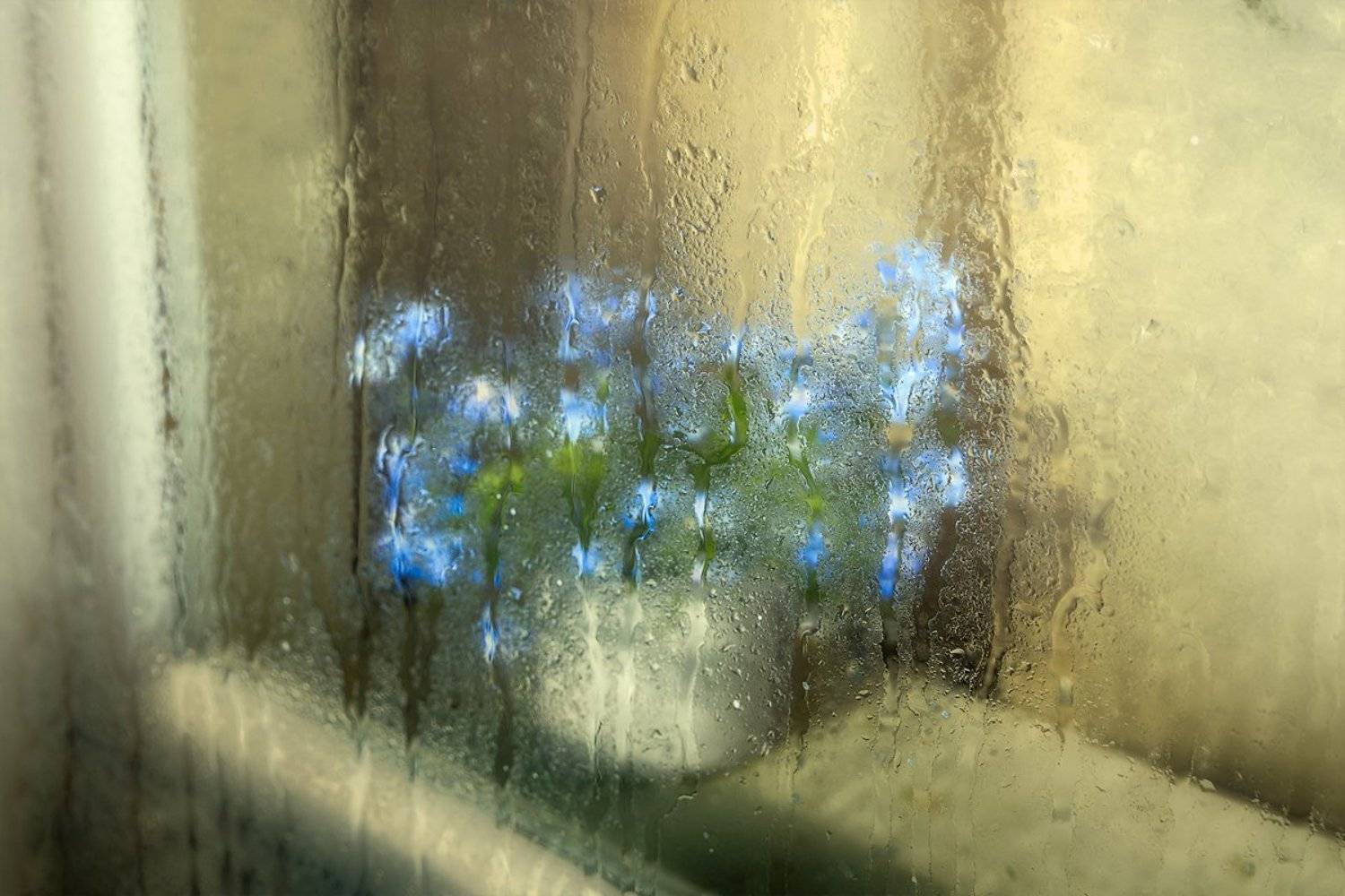 лето дождь букет окно, Ра Вера