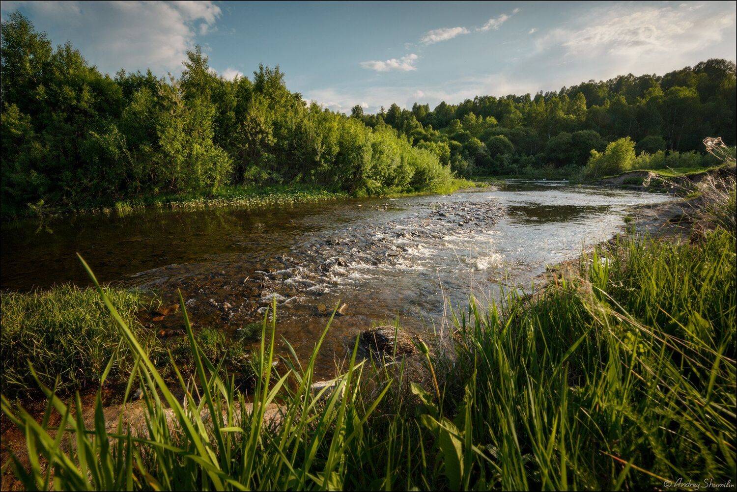 , Андрей Шумилин