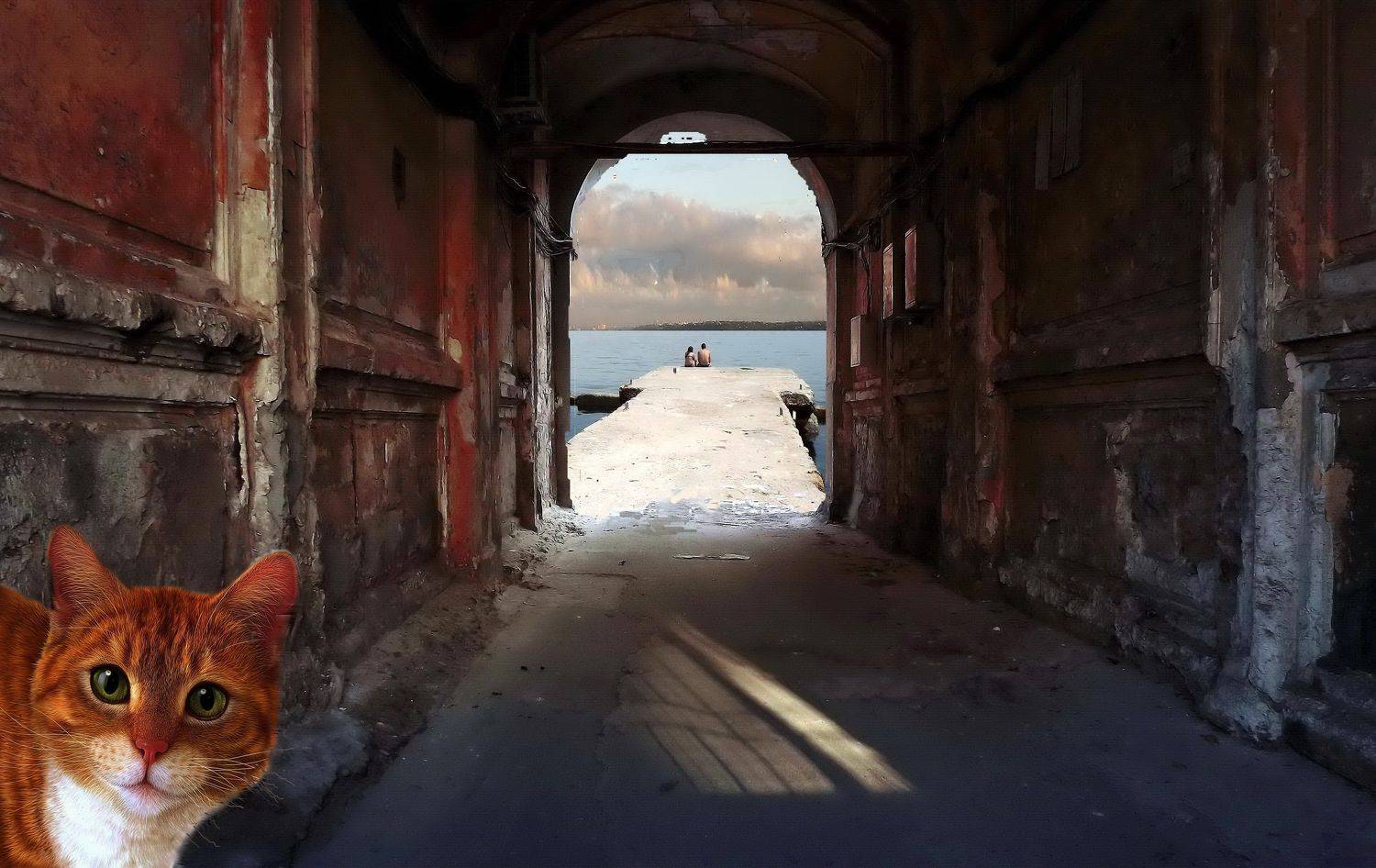 одесса, Сергей Кошелев