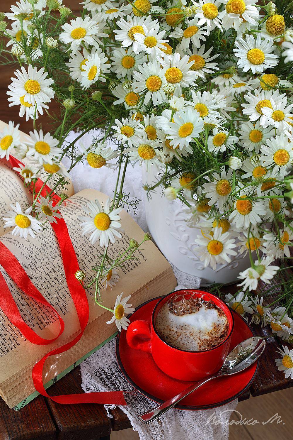 , Марина Володько