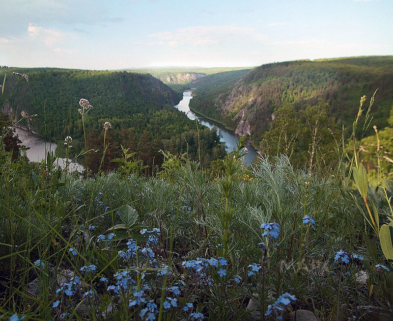 пейзаж башкирия шульган -таш незабудки Незабудки Шульган-Таша фото превью